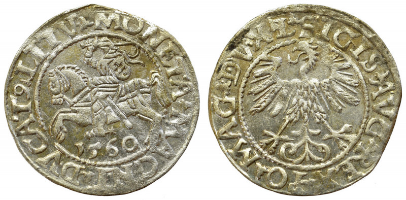 Sigismund II Augustus, Halfgroat 1560, Vilnius - LI/LITVA Bardzo ładny egzemplar...