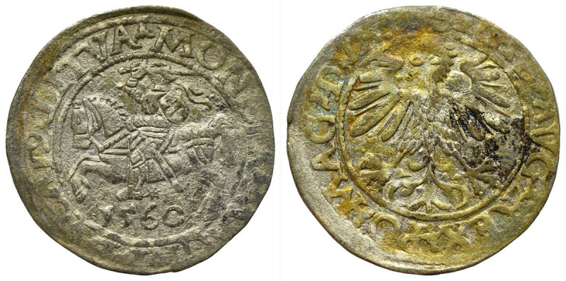 Sigismund II Augustus, Halfgroat 1560, Vilnius - LI/LITVA Obiegowy egzemplarz. P...