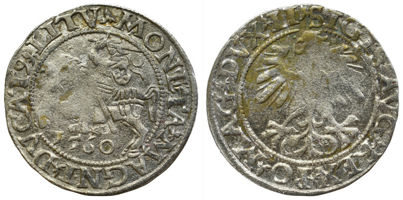 Sigismund II Augustus, Halfgroat 1560, Vilnius - LI/LITVA Obiegowy, mocno przeta...