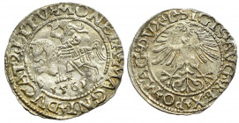 Sigismund II Augustus, Halfgroat 1561, Vilnius