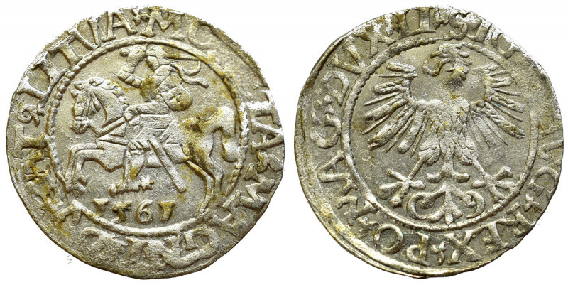 Sigismund II Augustus, Halfgroat 1565, Vilnius Bardzo ładnie zachowany egzemplar...