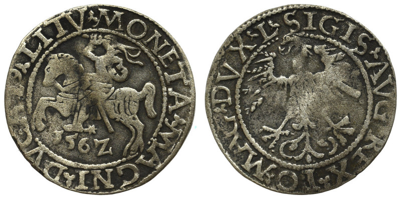 Sigismund II Augustus, Halfgroat 1562, Vilnius Obiegowy egzemplarz. Ciemna patyn...