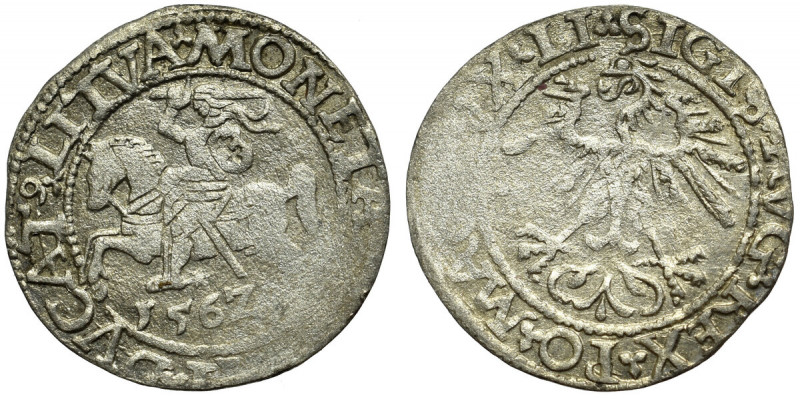 Sigismund II Augustus, Halfgroat 1562, Vilnius Obiegowy, miejscowo niedobity egz...