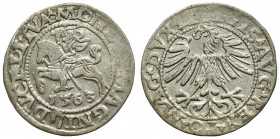 Sigismund II Augustus, Halfgroat 1565, Vilnius RR