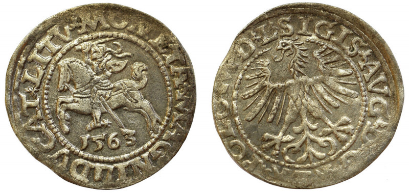 Sigismund II Augustus, Halfgroat 1563, Vilnius - L/LITV Ładny egzemplarz z dużą ...