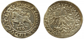 Sigismund II Augustus, Halfgroat 1563, Vilnius - L/LITV