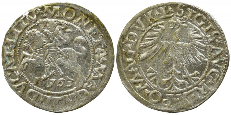 Sigismund II Augustus, Halfgroat 1563, Vilnius - L/LITV Ładny egzemplarz z dużą ...