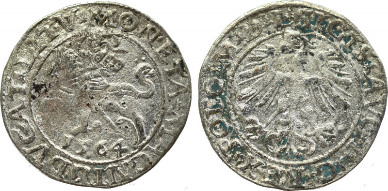 Sigismund II Augustus, Halfgroat 1564, Vilnius - L/LITV Obiegowy czytelny egzemp...