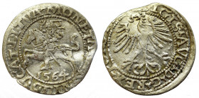 Sigismund II Augustus, Half-groat 1564, Vilnius, L/LITVA