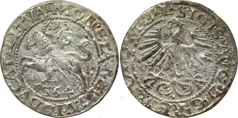 Sigismund II Augustus, Half-groat 1564, Vilnius, L/LITVA Ładnie wybity egzemplar...