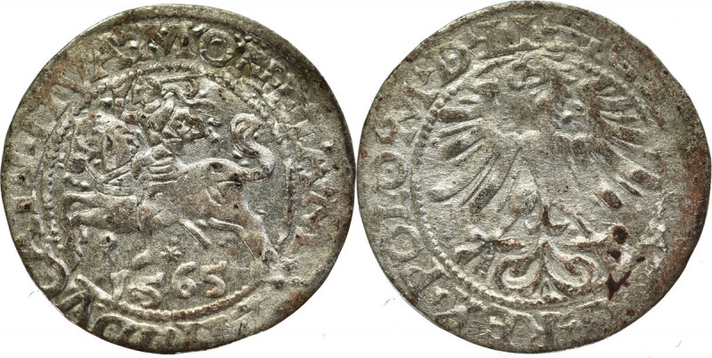 Sigismund II Augustus, Halfgroat 1565, Vilnius Ładny, miejscowo niedobity egzemp...