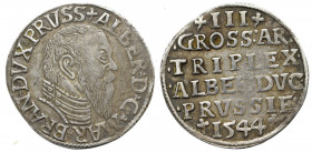 Prusy Książęce, Albert Hohenzollern, Trojak 1544, Królewiec - długa broda