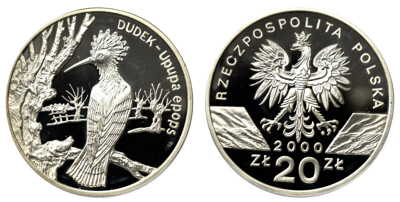 III RP, 20 złotych 2000 Dudek Patyna, nalot. 
Grade: Proof- 

Polen, Poland