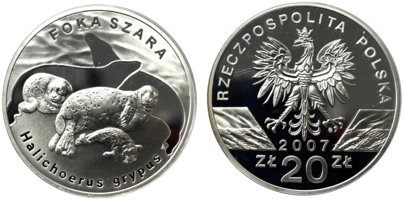 III RP, 20 złotych 2007 Foka Szara Piękny lustrzany egzemplarz.

Grade: Proof ...