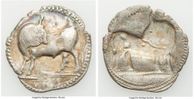 LUCANIA. Sybaris. Ca. 550-510 BC. AR stater or nomos (30mm, 6.83 gm, 12h). NGC (photo-certificate) Choice VF 4/5 - 2/5. Bull standing left, head rever...