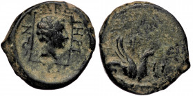THRACE. Abdera. Ae (Circa 311-280 BC).
Obv: HPA. Griffin seated right on club right.
Rev: ABΔHPITEΩN. Head of Apollo right within linear square border...