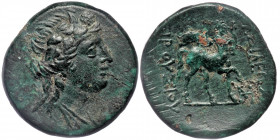 KINGS OF BITHYNIA. Prusias II Cynegos (182-149). Ae.
Obv: Draped bust of Dionysos right, wearing ivy wreath.
Rev: BAΣIΛEΩΣ ΠΡΟYΣIOY.
The Centaur Chiro...