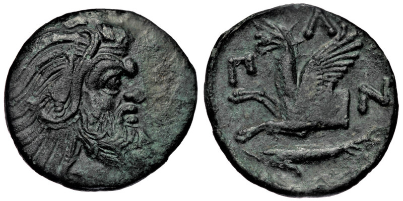 Tauric Chersonesos, Pantikapaion. AE22, ca. 310-303 BC. 
Bearded head of Pan rig...