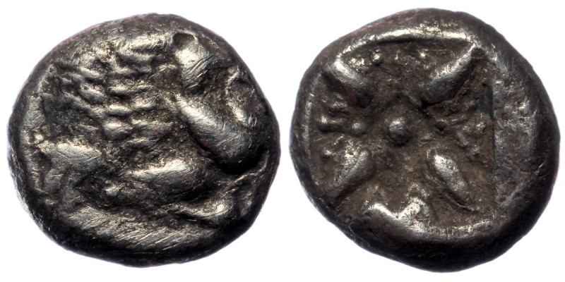 IONIA. Miletos (Late 6th Century BC) AR 12th stater. 
ion's mane and foreleg rig...