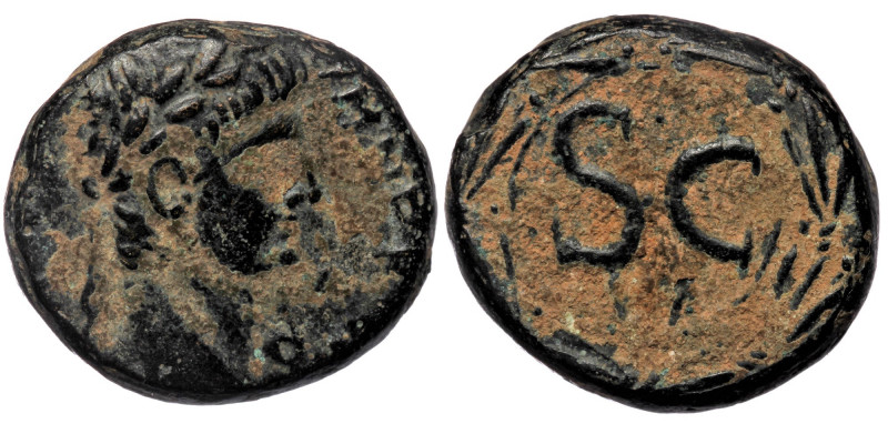 SYRIA, Seleucis and Pieria. Antiochia ad Orontem. Nero (54-68) AE19
IM · NER · [...