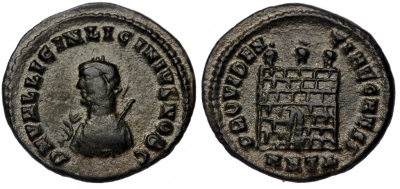 Licinius I (AD 308-324). AE follis or BI nummus 
3.04 gr. 20 mm