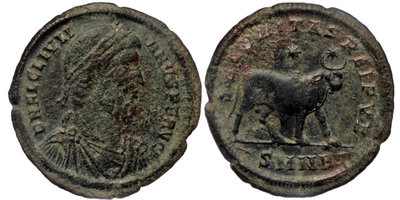 JULIAN II APOSTATA (361-363) AE30 Double Maiorina. Nicomedia.
Obv: D N FL CL IVL...