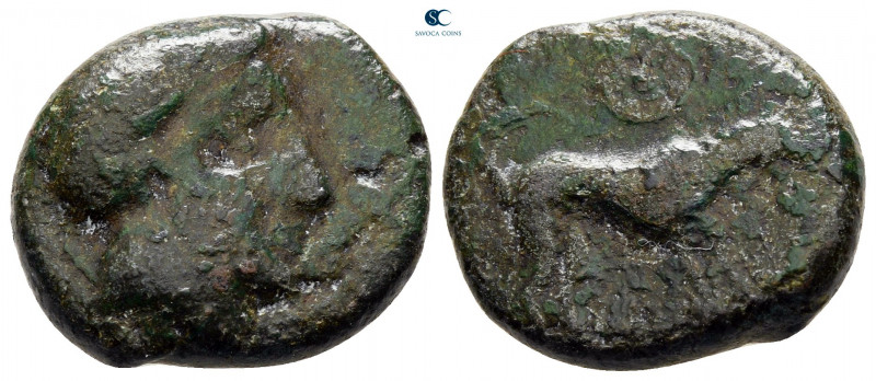 Sicily. Segesta circa 300-200 BC. 
Bronze Æ

20 mm, 6,28 g



nearly very...