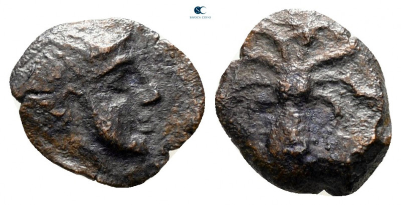 Sicily. Syracuse circa 435-415 BC. 
Onkia Æ

10 mm, 0,58 g



fine