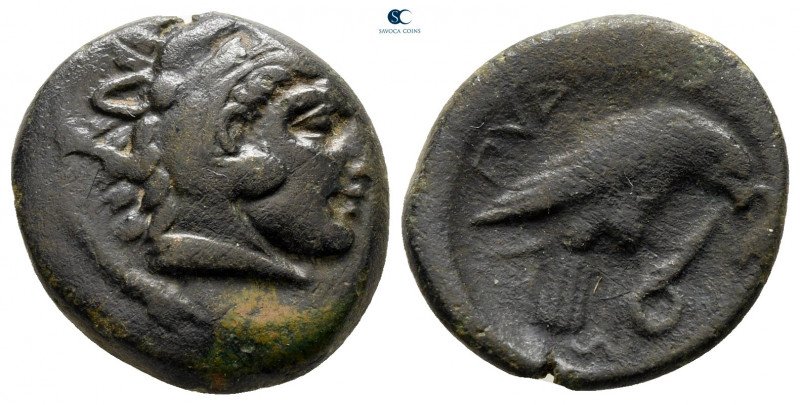 Macedon. Pydna circa 381-369 BC. 
Bronze Æ

17 mm, 3,51 g



very fine