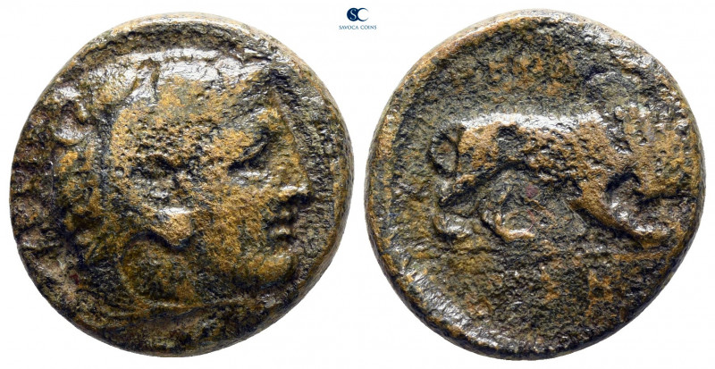 Kings of Macedon. Aigai. Perdikkas III 365-359 BC. 
Bronze Æ

18 mm, 6,31 g
...