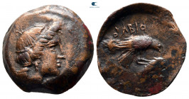 Scythia. Olbia circa 350-320 BC. Bronze Æ