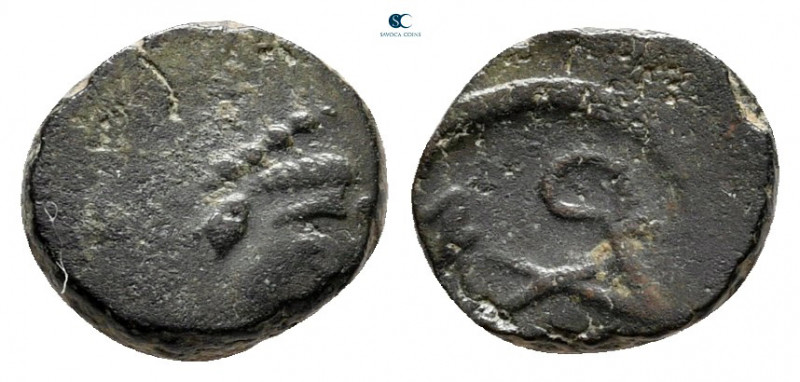 Zeno, second reign AD 476-491. Uncertain mint
Nummus Æ

9 mm, 0,80 g



n...