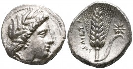 Lucania. Metapontion 330-290 BC. Stater AR