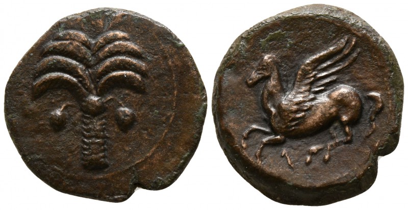 Sicily. Carthaginian Domain circa 350-300 BC.
Bronze Æ

16mm., 3,08g.

Palm...