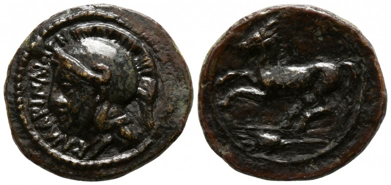 Sicily. Kamarina circa 339-300 BC.
Bronze Æ

17mm., 3,03g.

KAMAPINAIΩN, he...