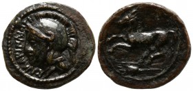 Sicily. Kamarina circa 339-300 BC. Bronze Æ