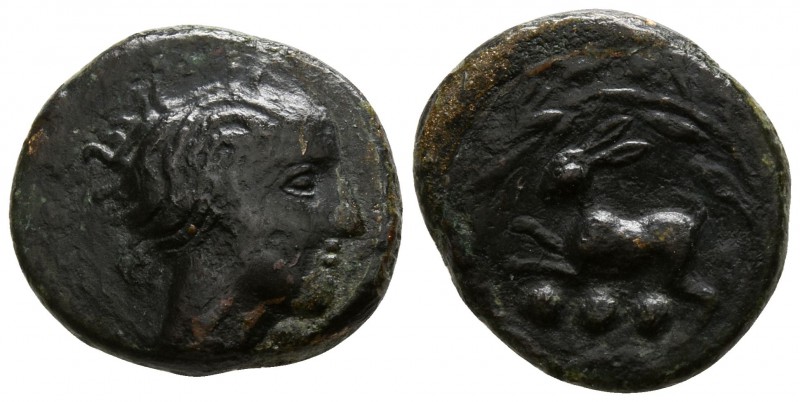 Sicily. Messana circa 450-400 BC.
Tetras Æ

15mm., 2,24g.

Female head righ...