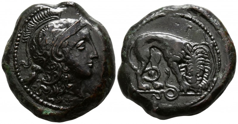 Sicily. Morgantina 339-317 BC.
Hemidrachm Æ

25mm., 18,18g.

Head of Athena...