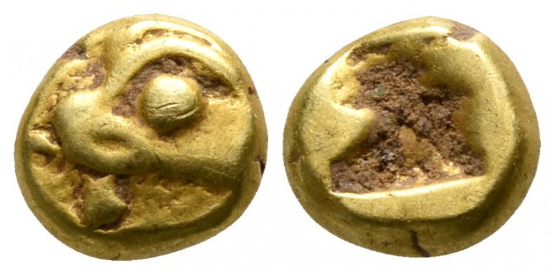 Ionia. Phokaia circa 625-575 BC.
1/24 Stater EL

5mm., 0,60g.

Head of seal...