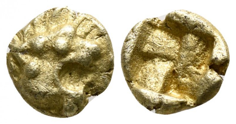 Ionia. Uncertain mint circa 600-550 BC.
1/48 Stater EL

4mm., 0,32g.

Head ...