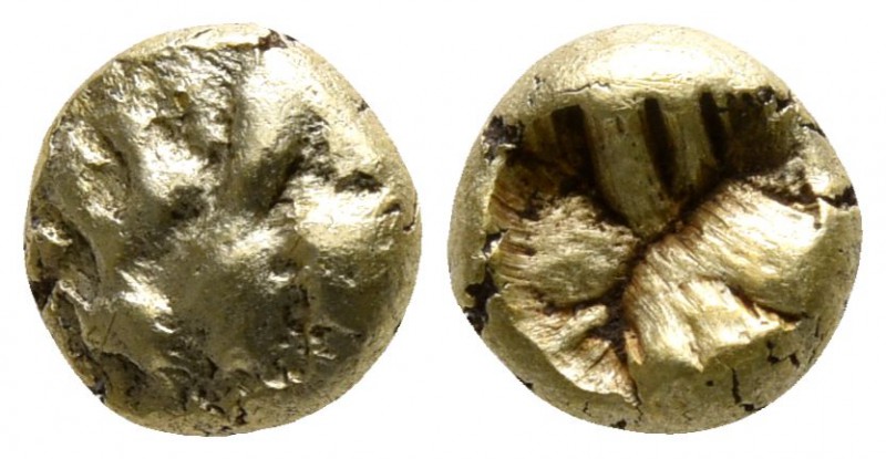 Ionia. Uncertain mint 600-500 BC.
1/24 Stater EL

5mm., 0,58g.

Lion's paw ...