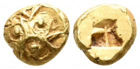 Ionia. Uncertain mint circa 550-500 BC. 1/24 Stater EL