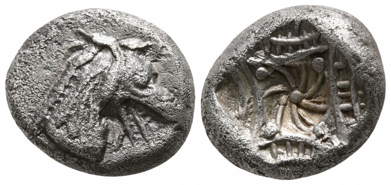 Caria. Kindya circa 510-480 BC.
Tetrobol AR

11mm., 2,08g.

Head of Ketos r...