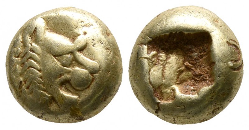 Kings of Lydia. Sardeis. Alyattes circa 610-560 BC.
Hemihekte EL

6mm., 1,14g...