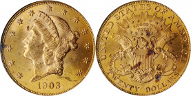 Liberty Head Double Eagle

1903 Liberty Head Double Eagle. MS-62 (NGC).

PCGS# 9043. NGC ID: 26CW.

Estimate: $2000