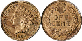 Indian Cent

1863 Indian Cent. AU-58 (PCGS).

PCGS# 2067. NGC ID: 227J.

Estimate: $90