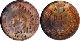 Indian Cent

1891 Indian Cent. MS-65 BN (NGC).

PCGS# 2178. NGC ID: 228K.

Estimate: $150