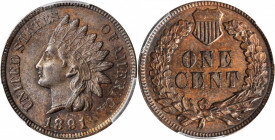 Indian Cent

1891 Indian Cent. MS-64 BN (PCGS).

PCGS# 2178. NGC ID: 228K.

Estimate: $100