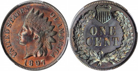 Indian Cent

1897 Indian Cent. MS-64 BN (PCGS).

PCGS# 2196. NGC ID: 228S.

Estimate: $100