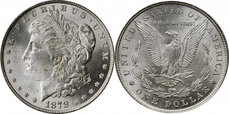 Morgan Silver Dollar

1878 Morgan Silver Dollar. 7 Tailfeathers. Reverse of 18...